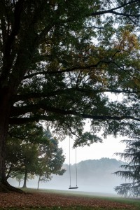 One of the swings on Davis Field sits empty early on a misty morning.