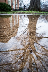 A tree is reflected in a puddle in front of Salem Hall on the Wake Forest campus on Tuesday, March 25, 2014.