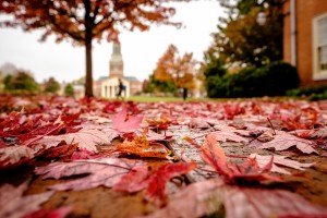 Fall leaves decorate Hearn Plaza on the campus of Wake Forest University on a rainy fall day on Tuesday, October 27, 2015.