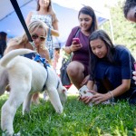 Wake Forest students, faculty, and staff attend the Arrive to Thrive event on Manchester Plaza on Tuesday, August 25, 2015. The event highlights different ways of maintaining an healthy lifestyle on campus. Students play with a puppy from the Humane Society.